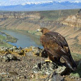 It's Not Easy Being Clean