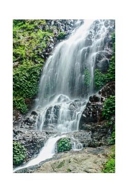 Tristania Falls Dorrigo Tristania Falls Dorrigo