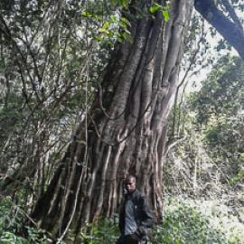 My life in the Naimina Enkiyio Forest, Part 1