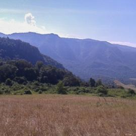 My life in the Naimina Enkiyio Forest, Part 2