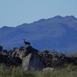 Overnight in the Cederberg