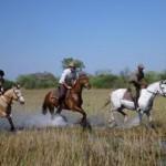 Horseback in Botswana Horseback in Botswana