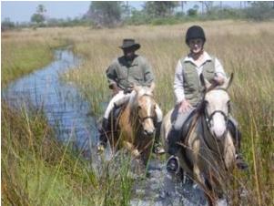Horseback in Botswana Horseback in Botswana
