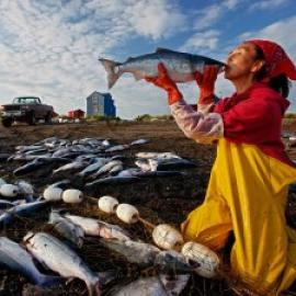 Just Another Species