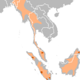 The First Sumatran Rhino to be Born in Captivity in Indonesia