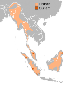 A range map of the Sumatran Rhino in Southeast Asia A range map of the Sumatran Rhino in Southeast Asia