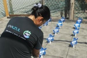 Marking nests Marking nests