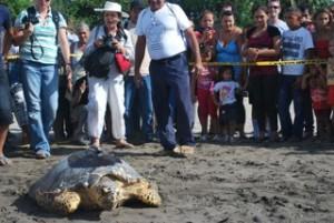 Onlookers watching Onlookers watching