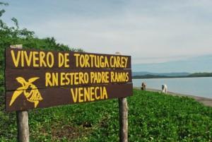 Tortuga Carey Tortuga Carey