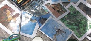 Art 4 Kids 3 Art 4 Kids 3