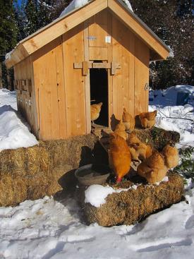 Hen House Hen House