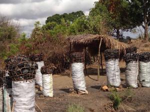 Tanzania 1 Tanzania 1