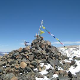 Brilliant Baboons Screened at Taos Shortz Film Festival