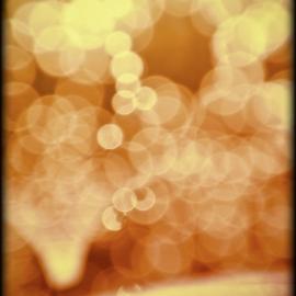 How Craft Beer Can Save the World