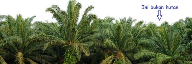 Inibukanhutan Inibukanhutan