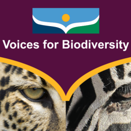 Letter from the President