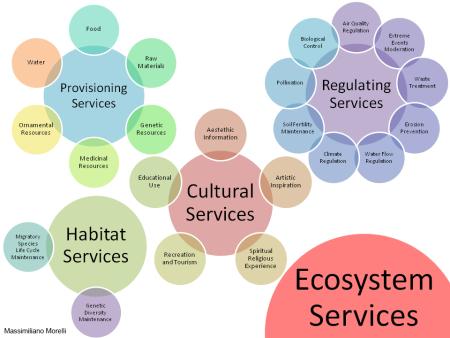 Different Ecosystem Services Different Ecosystem Services